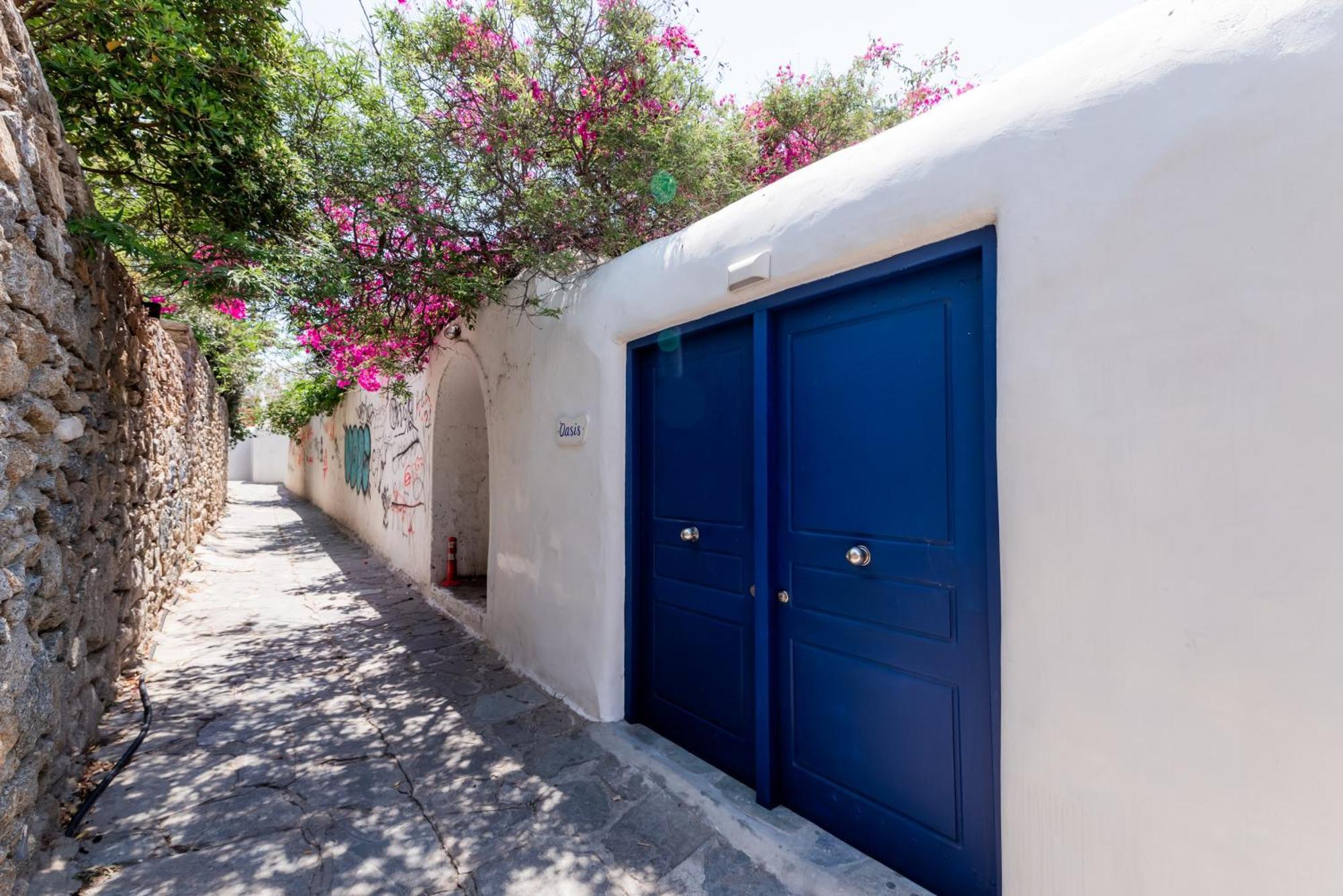 Olive Tree Mykonos Town Semi-Basement Apartment Extérieur photo