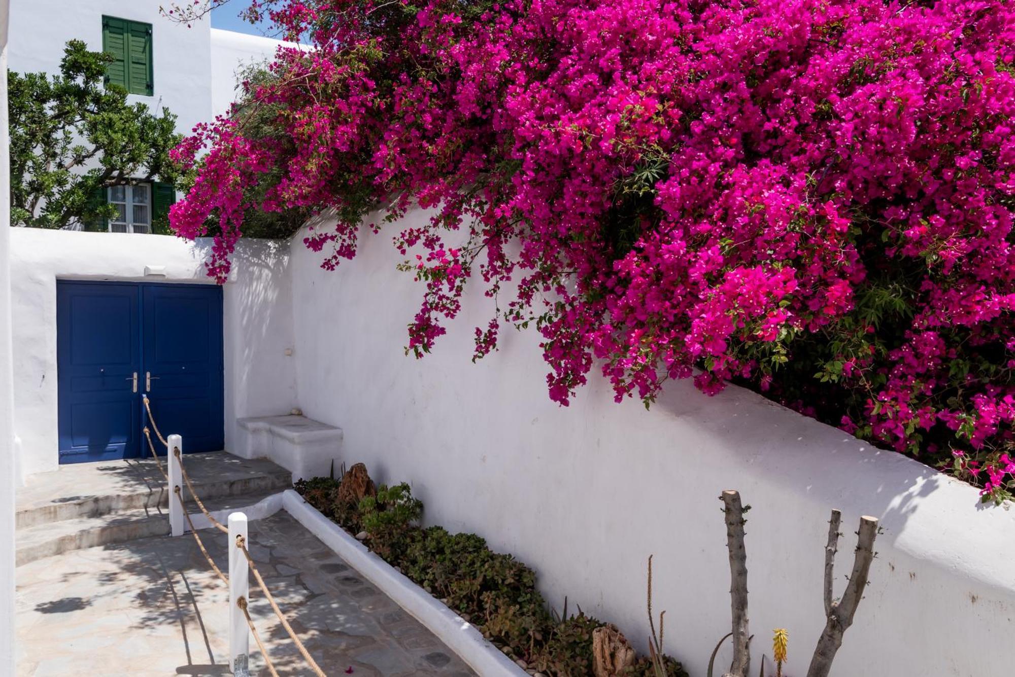 Olive Tree Mykonos Town Semi-Basement Apartment Extérieur photo